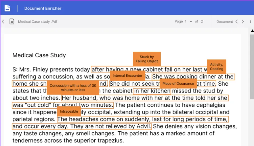 Document Enricher