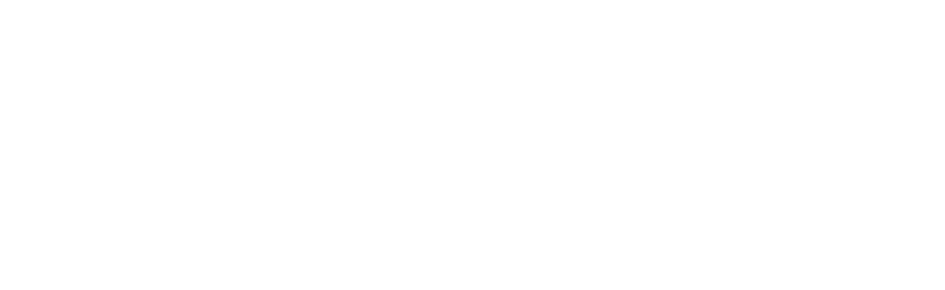 logo-2