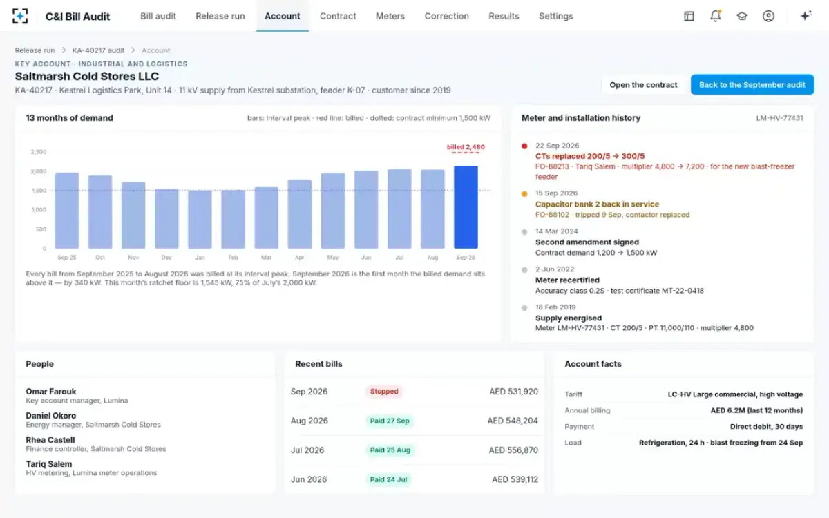 C&I Bill Audit — The account
