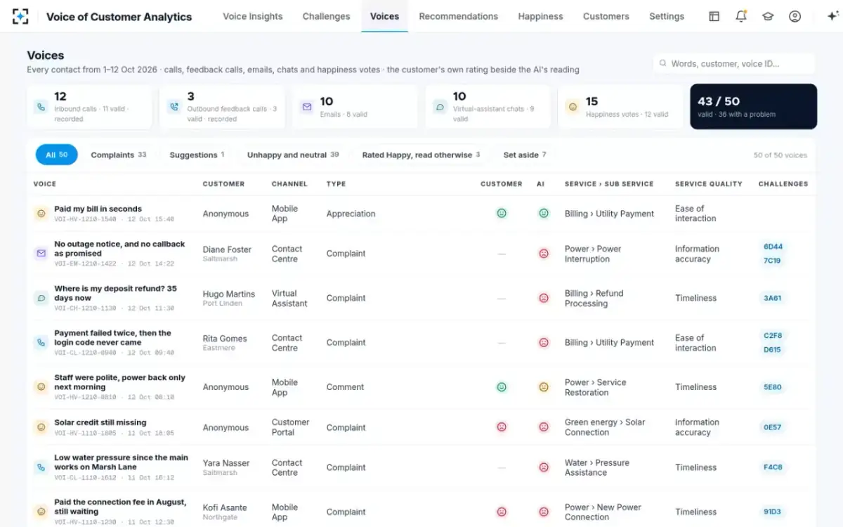Voice of Customer Analytics — Voices
